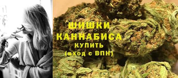 ПСИЛОЦИБИНОВЫЕ ГРИБЫ Баксан