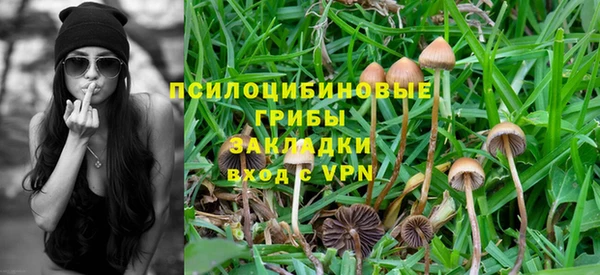 кокс Белокуриха