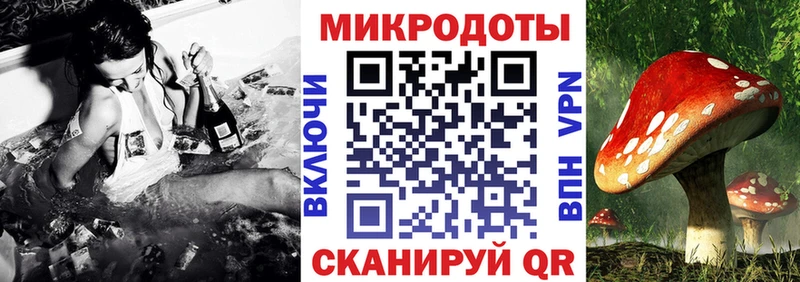 Галлюциногенные грибы прущие грибы Белёв